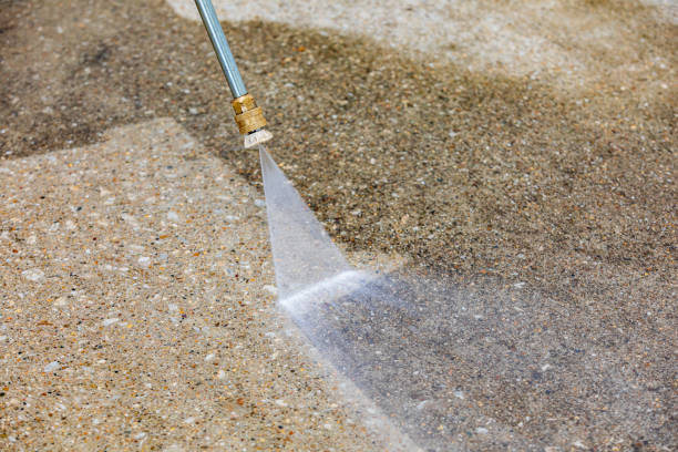 Best Dumpster Area Cleaning  in Sun City Center, FL